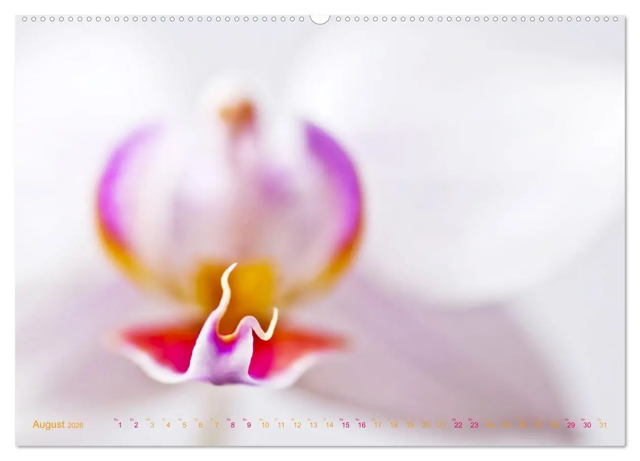 Bild: 9783457635070 | DEEP INSIDE - Blütenmakros (Wandkalender 2026 DIN A2 quer),...