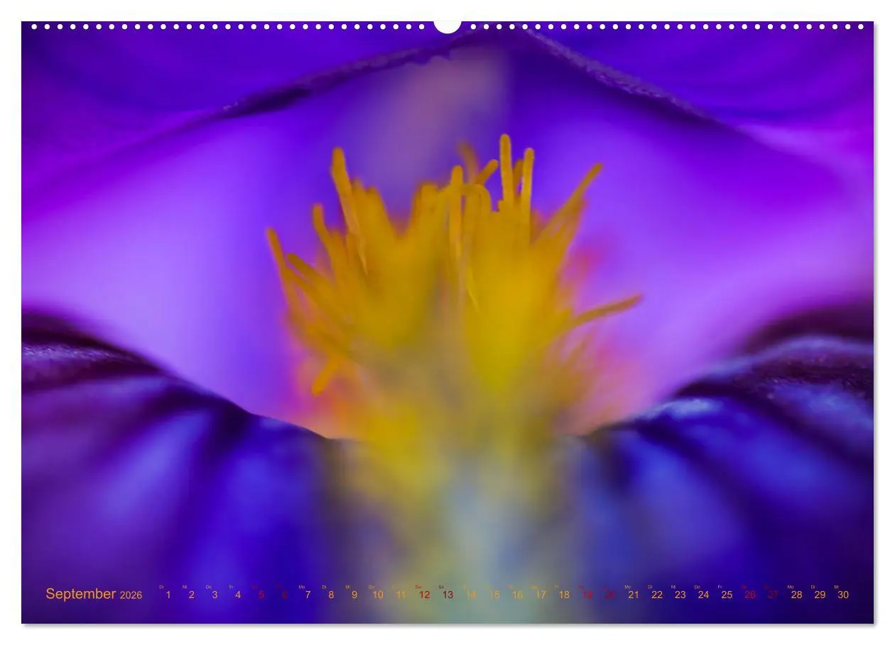 Bild: 9783457635070 | DEEP INSIDE - Blütenmakros (Wandkalender 2026 DIN A2 quer),...