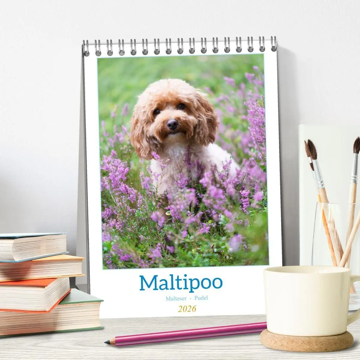 Bild: 9783516655070 | Maltipoo - Malteser - Pudel 2026 (Tischkalender 2026 DIN A5 hoch),...