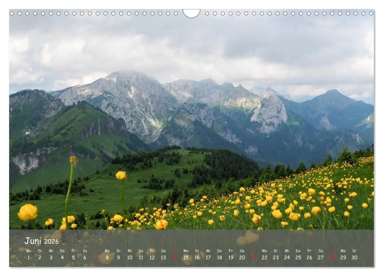 Bild: 9783457795170 | Ammergauer Alpen (Wandkalender 2026 DIN A3 quer), CALVENDO...