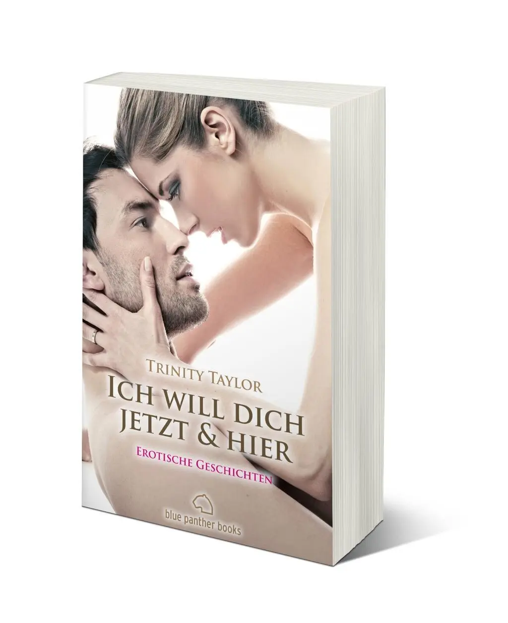 Cover: 9783940505170 | Ich will dich jetzt und hier Erotische Geschichten | Trinity Taylor
