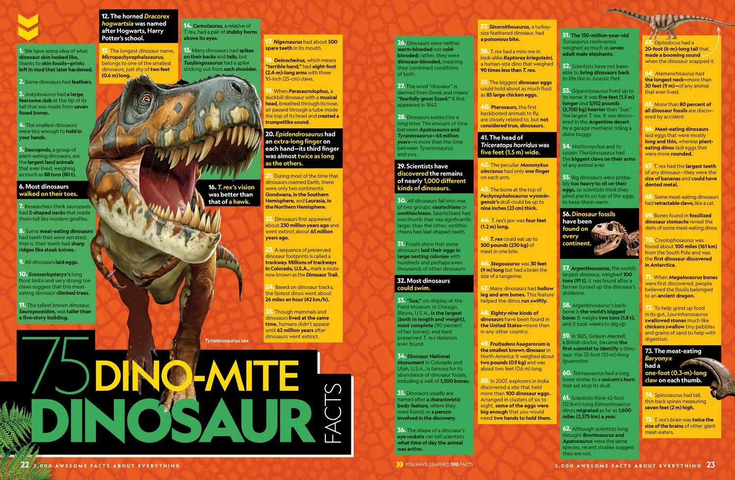 Bild: 9780008825270 | 5000 AWESOME_NATIONAL GE IE HB | National Geographic Kids | Buch