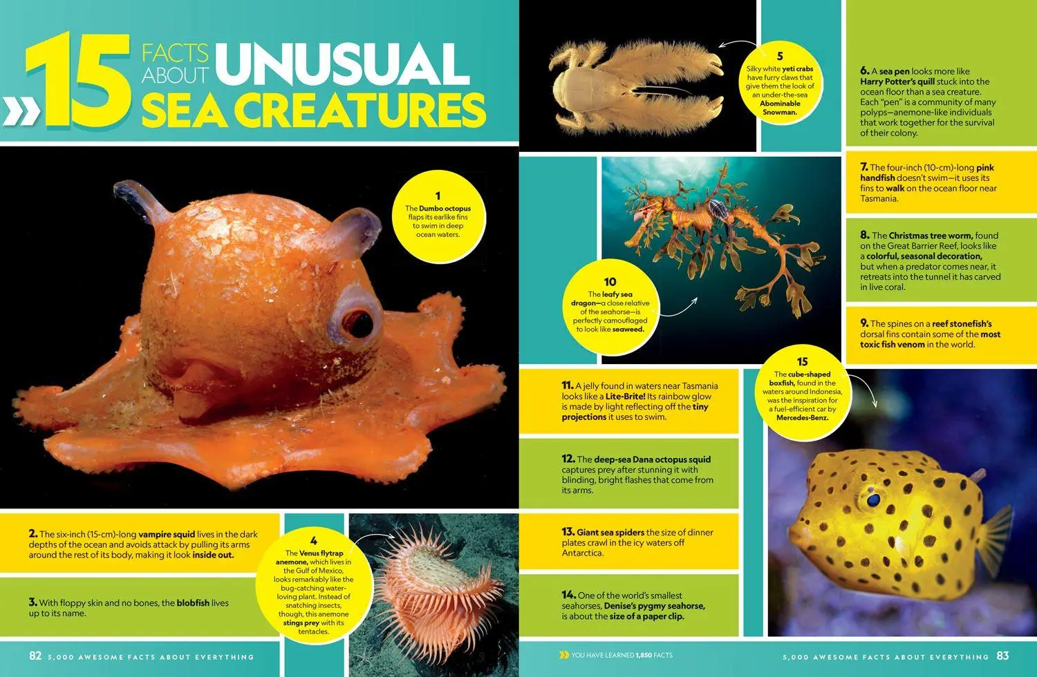 Bild: 9780008825270 | 5000 AWESOME_NATIONAL GE IE HB | National Geographic Kids | Buch