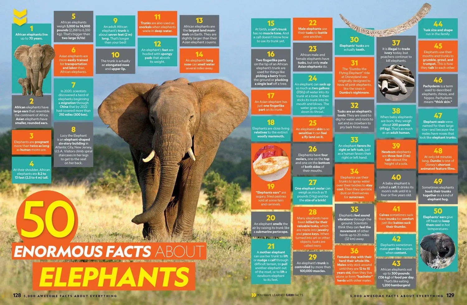Bild: 9780008825270 | 5000 AWESOME_NATIONAL GE IE HB | National Geographic Kids | Buch