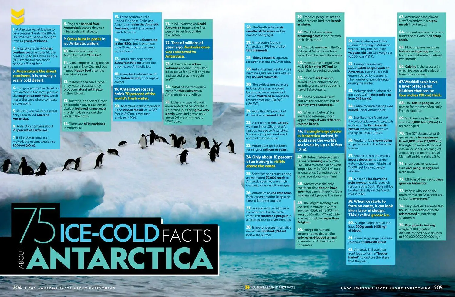 Bild: 9780008825270 | 5000 AWESOME_NATIONAL GE IE HB | National Geographic Kids | Buch
