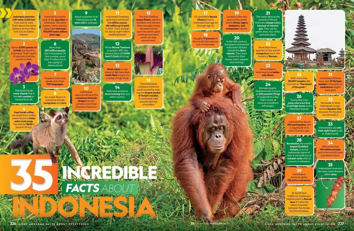 Bild: 9780008825270 | 5000 AWESOME_NATIONAL GE IE HB | National Geographic Kids | Buch