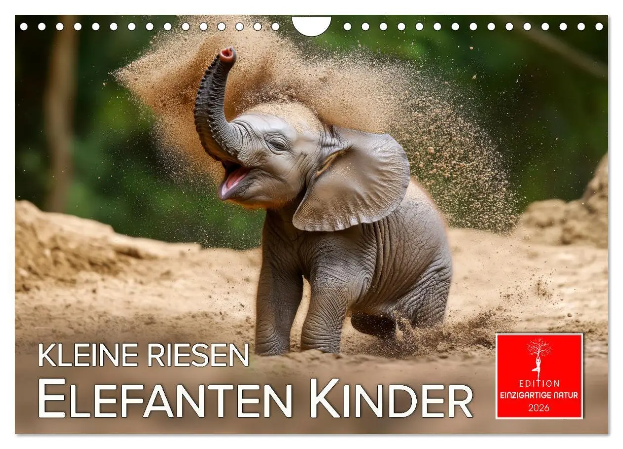 Cover: 9783457305270 | Elefanten Kinder - kleine Riesen (Wandkalender 2026 DIN A4 quer),...