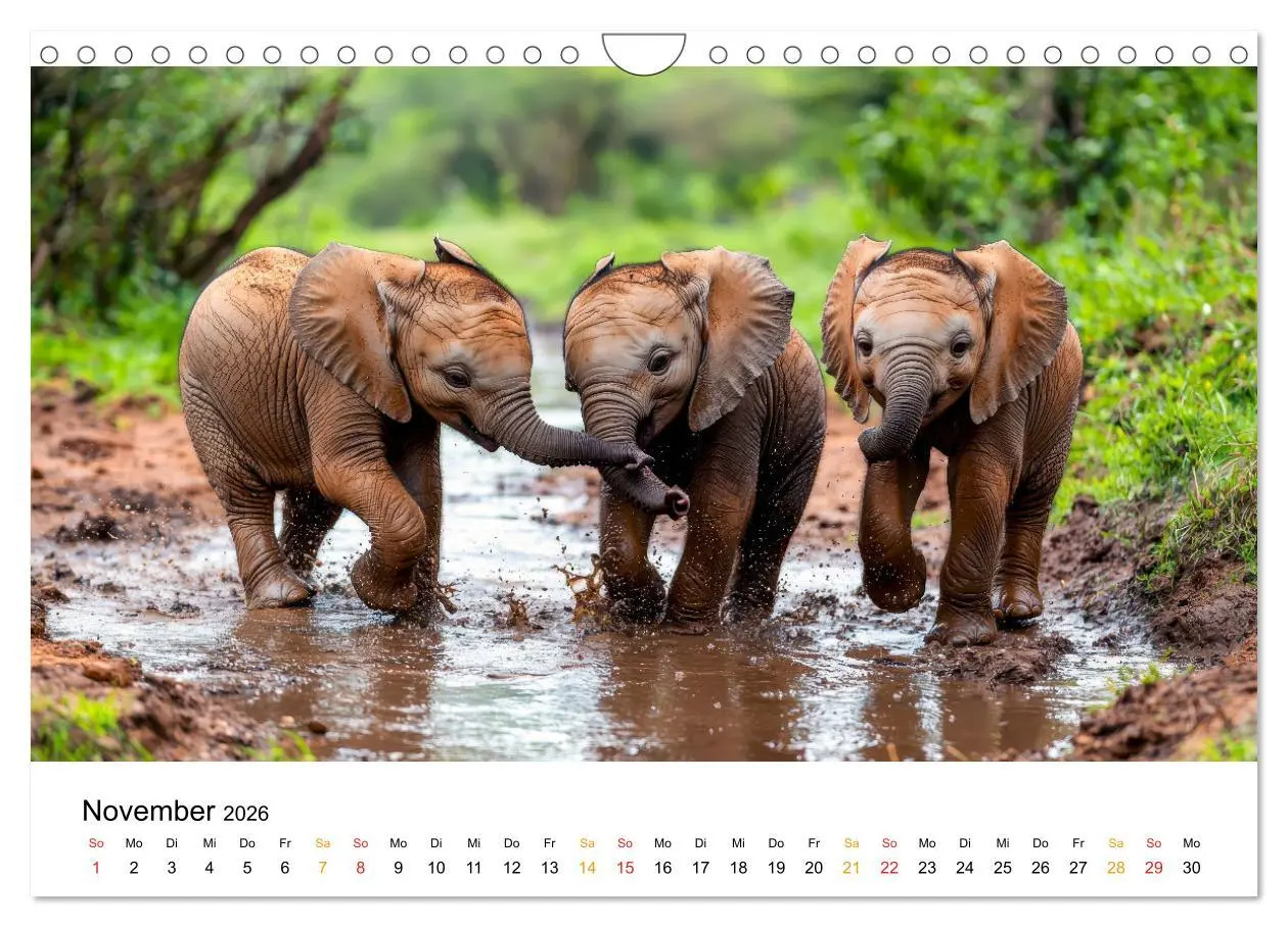 Bild: 9783457305270 | Elefanten Kinder - kleine Riesen (Wandkalender 2026 DIN A4 quer),...