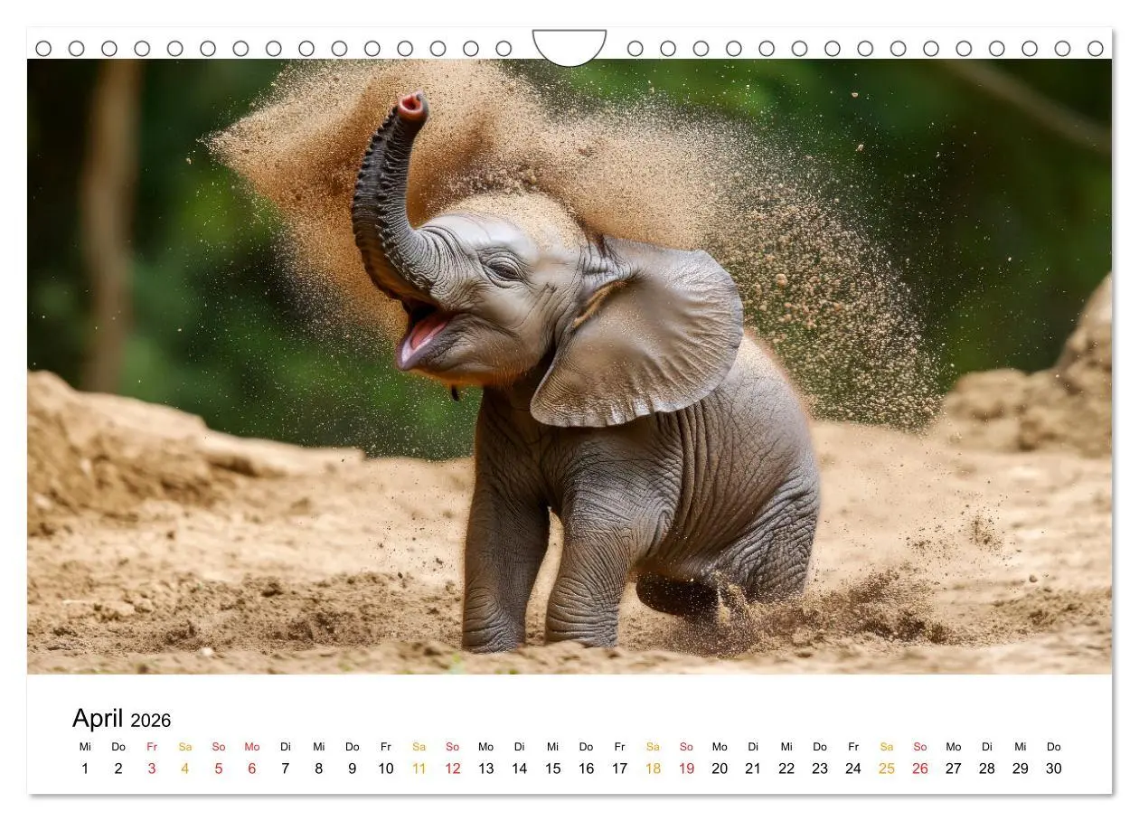 Bild: 9783457305270 | Elefanten Kinder - kleine Riesen (Wandkalender 2026 DIN A4 quer),...