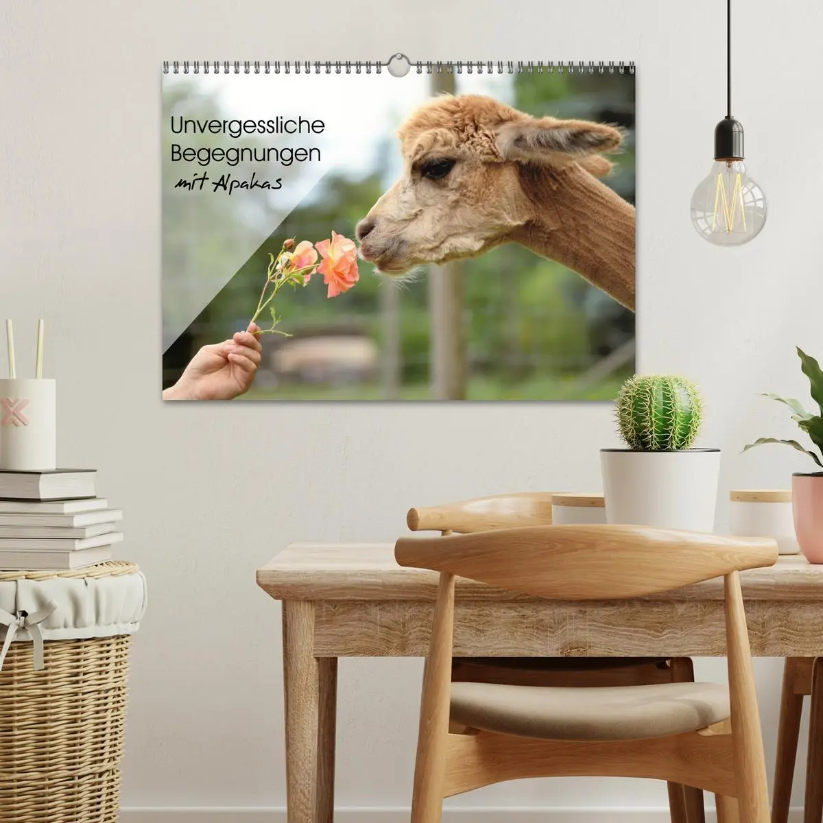 Bild: 9783457855270 | Unvergessliche Begegnungen mit Alpakas (Wandkalender 2026 DIN A3...