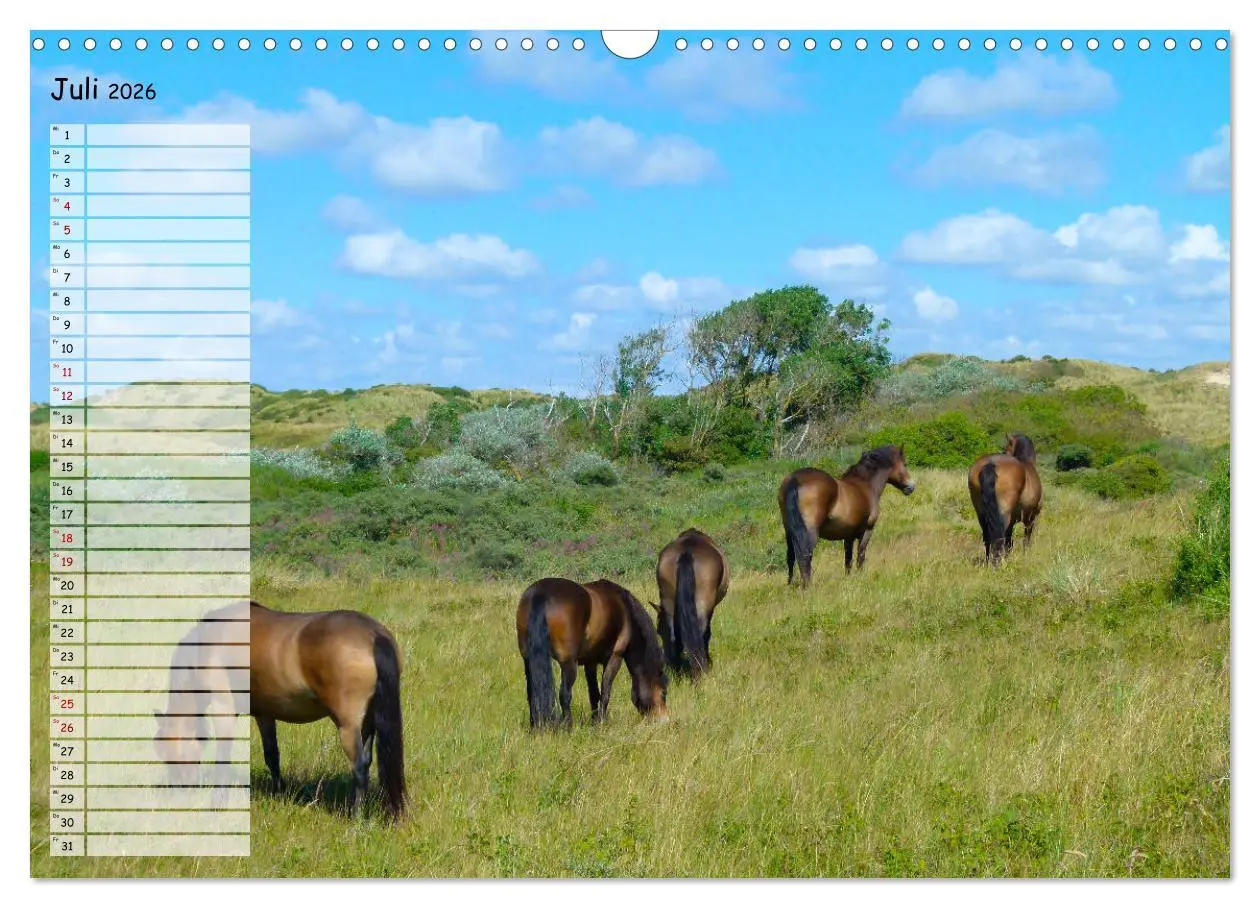 Bild: 9783457925270 | Egmond aan Zee (Wandkalender 2026 DIN A3 quer), CALVENDO...