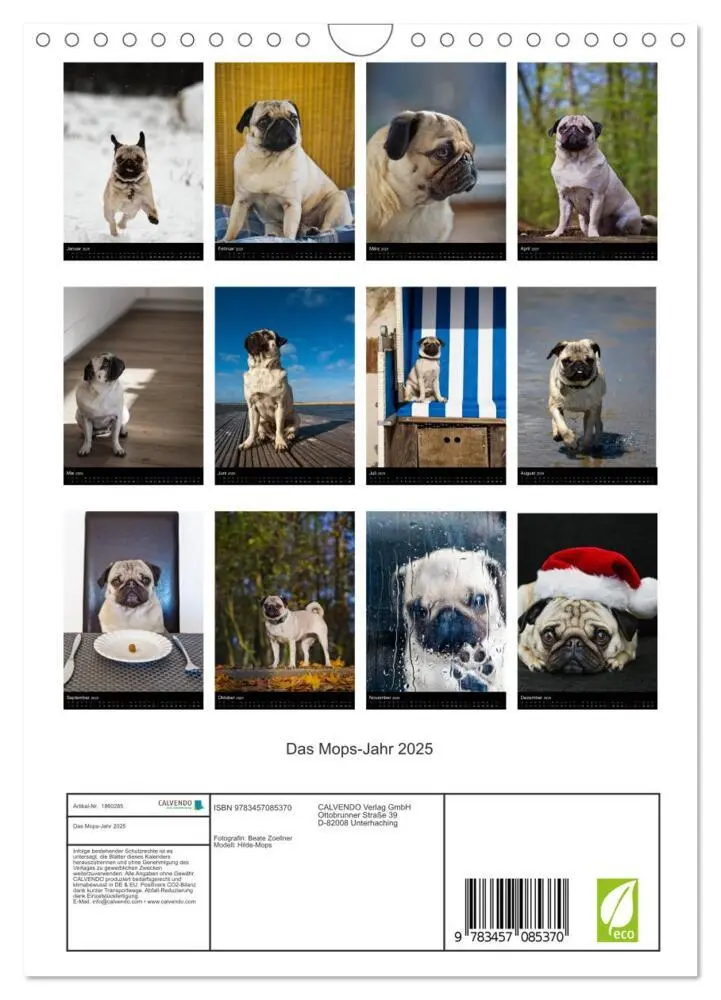 Bild: 9783457085370 | Das Mops-Jahr 2025 (Wandkalender 2025 DIN A4 hoch), CALVENDO...