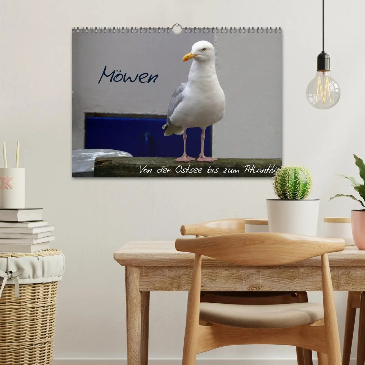 Bild: 9783516175370 | Möwen - Von der Ostsee bis zum Atlantik (Wandkalender 2026 DIN A3...