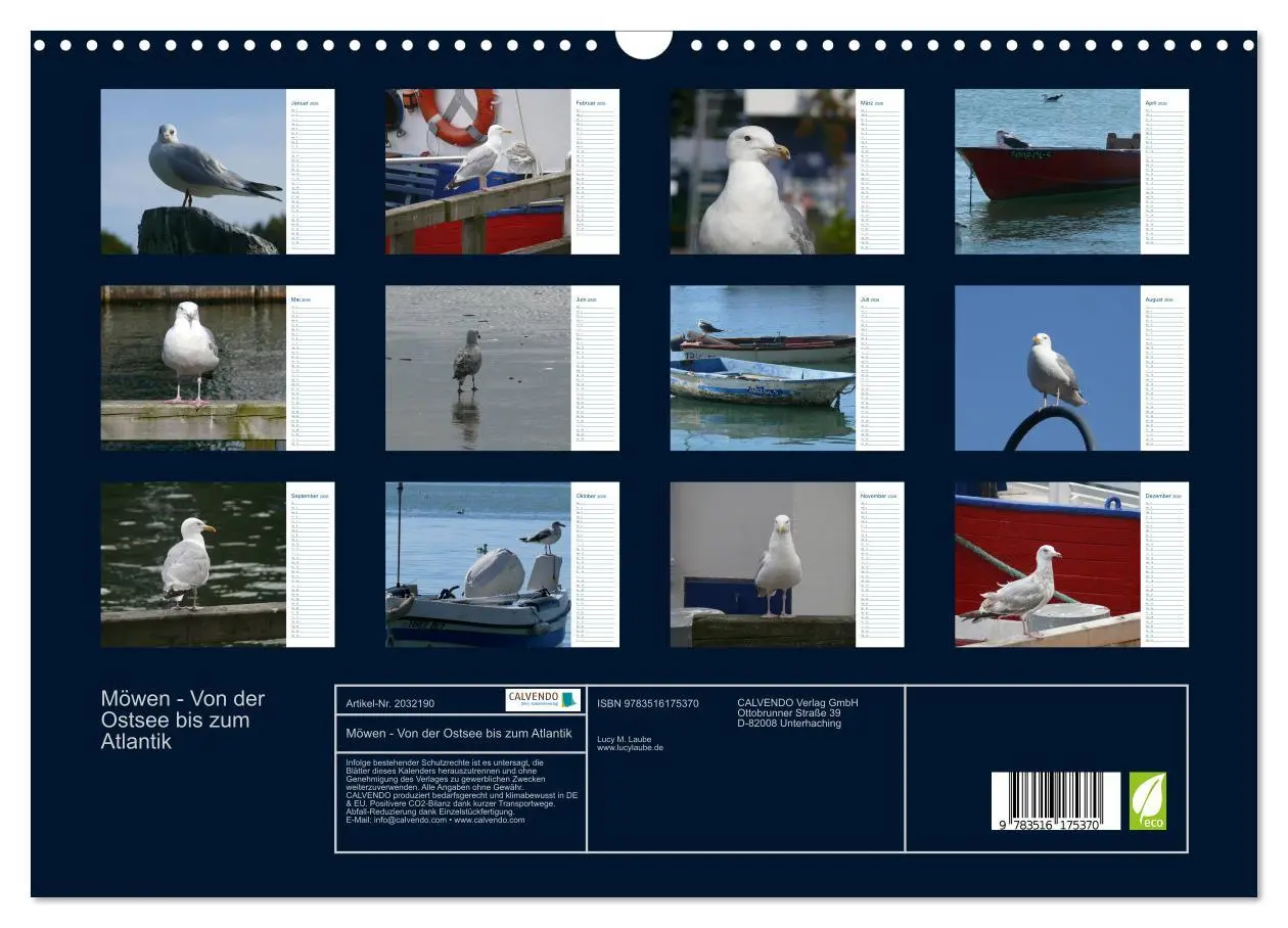 Bild: 9783516175370 | Möwen - Von der Ostsee bis zum Atlantik (Wandkalender 2026 DIN A3...