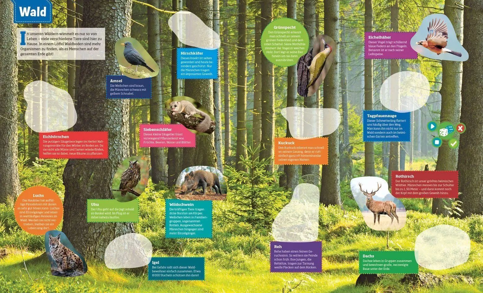 Bild: 9783788675370 | BOOKii® WAS IST WAS Stickeratlas Tiere aus aller Welt | Schmeling