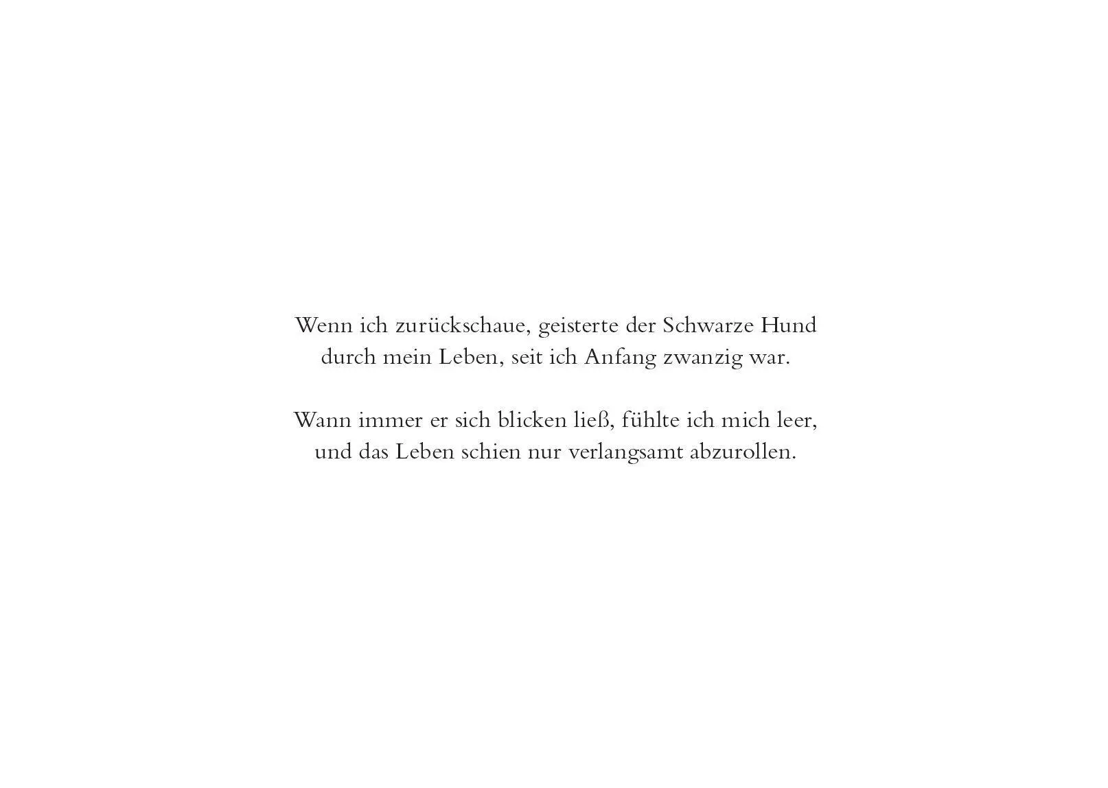 Bild: 9783888975370 | Mein schwarzer Hund | Wie ich meine Depression an die Leine legte