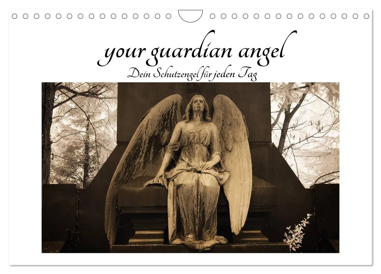 Cover: 9783457905470 | your guardian angel - Dein Schutzengel für jeden Tag (Wandkalender...