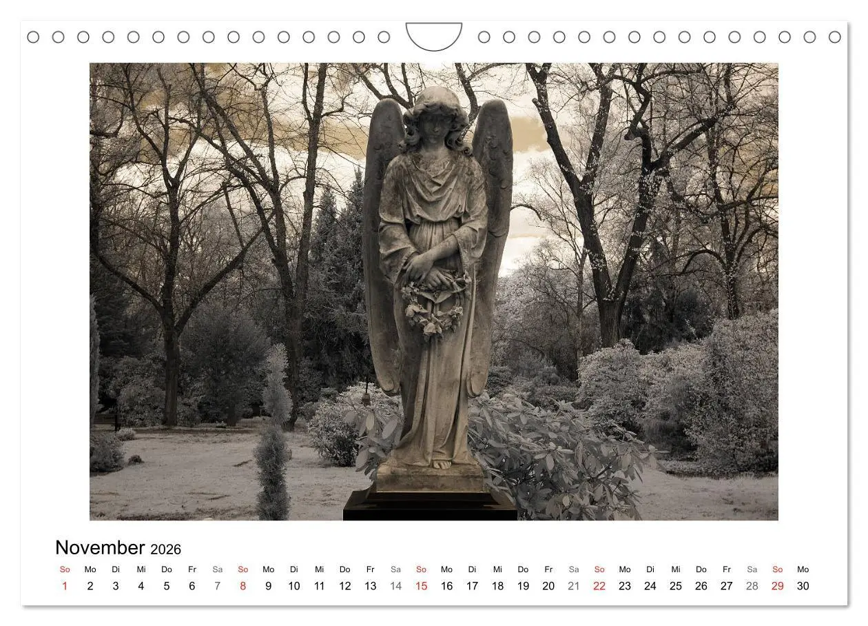Bild: 9783457905470 | your guardian angel - Dein Schutzengel für jeden Tag (Wandkalender...