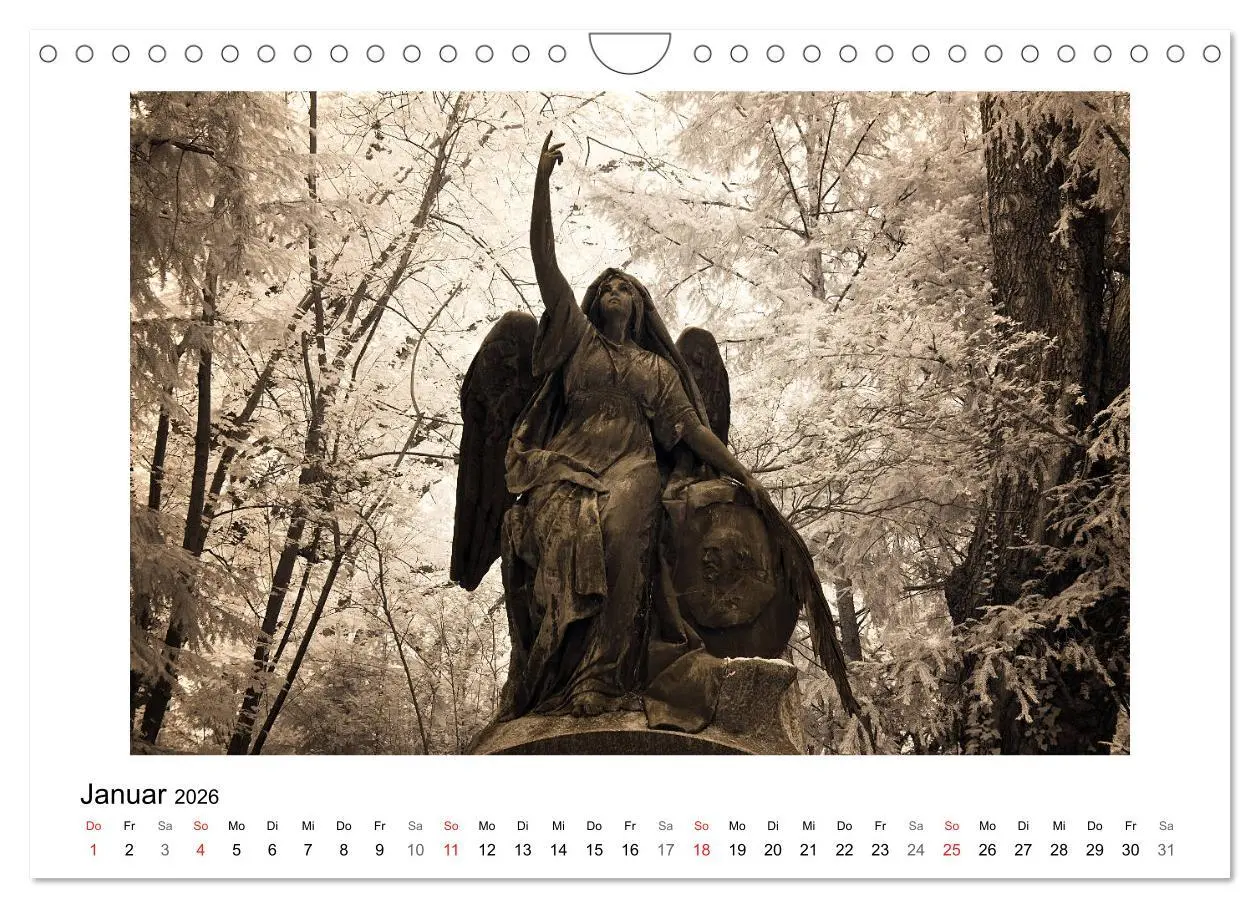 Bild: 9783457905470 | your guardian angel - Dein Schutzengel für jeden Tag (Wandkalender...