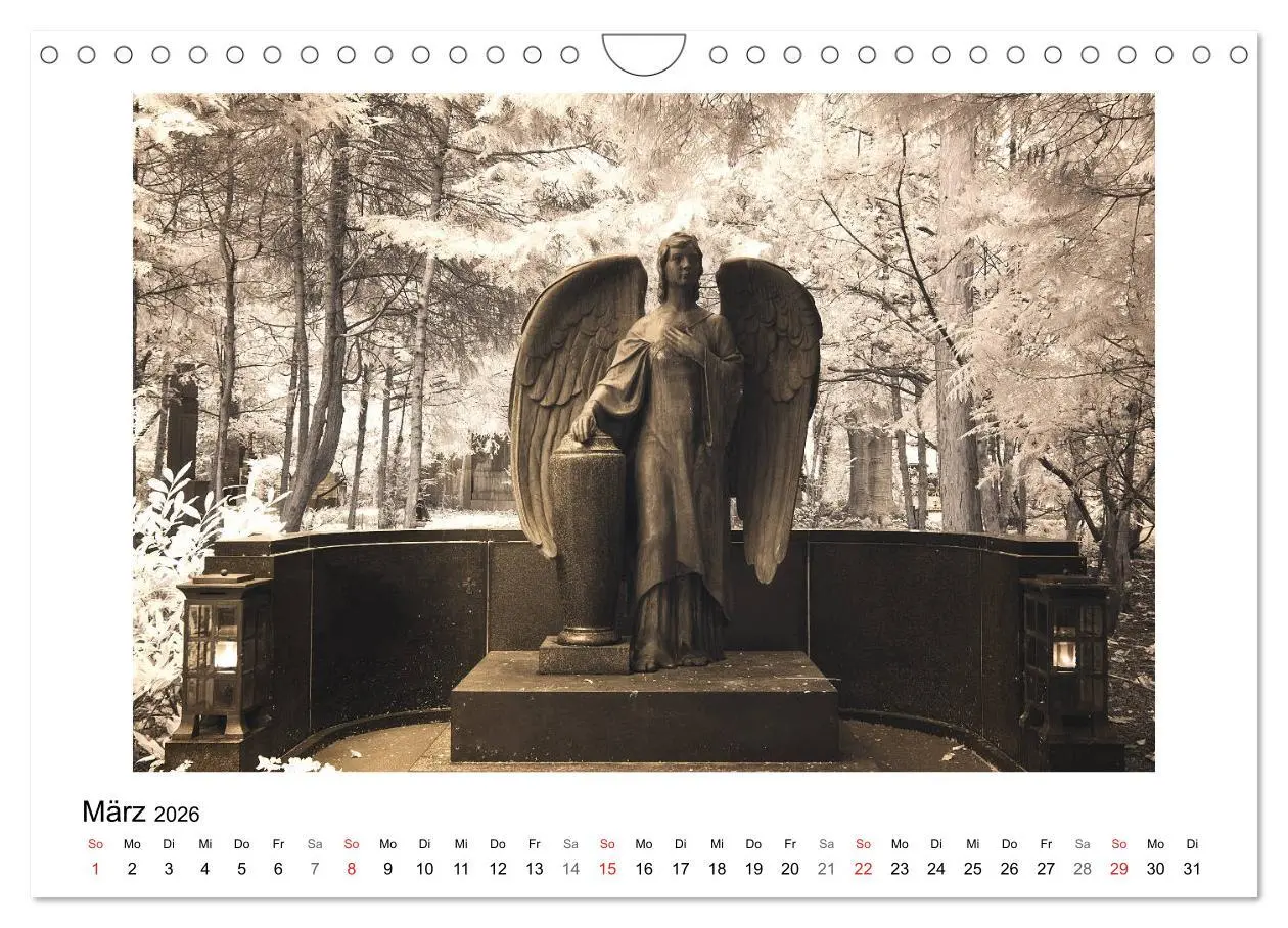Bild: 9783457905470 | your guardian angel - Dein Schutzengel für jeden Tag (Wandkalender...