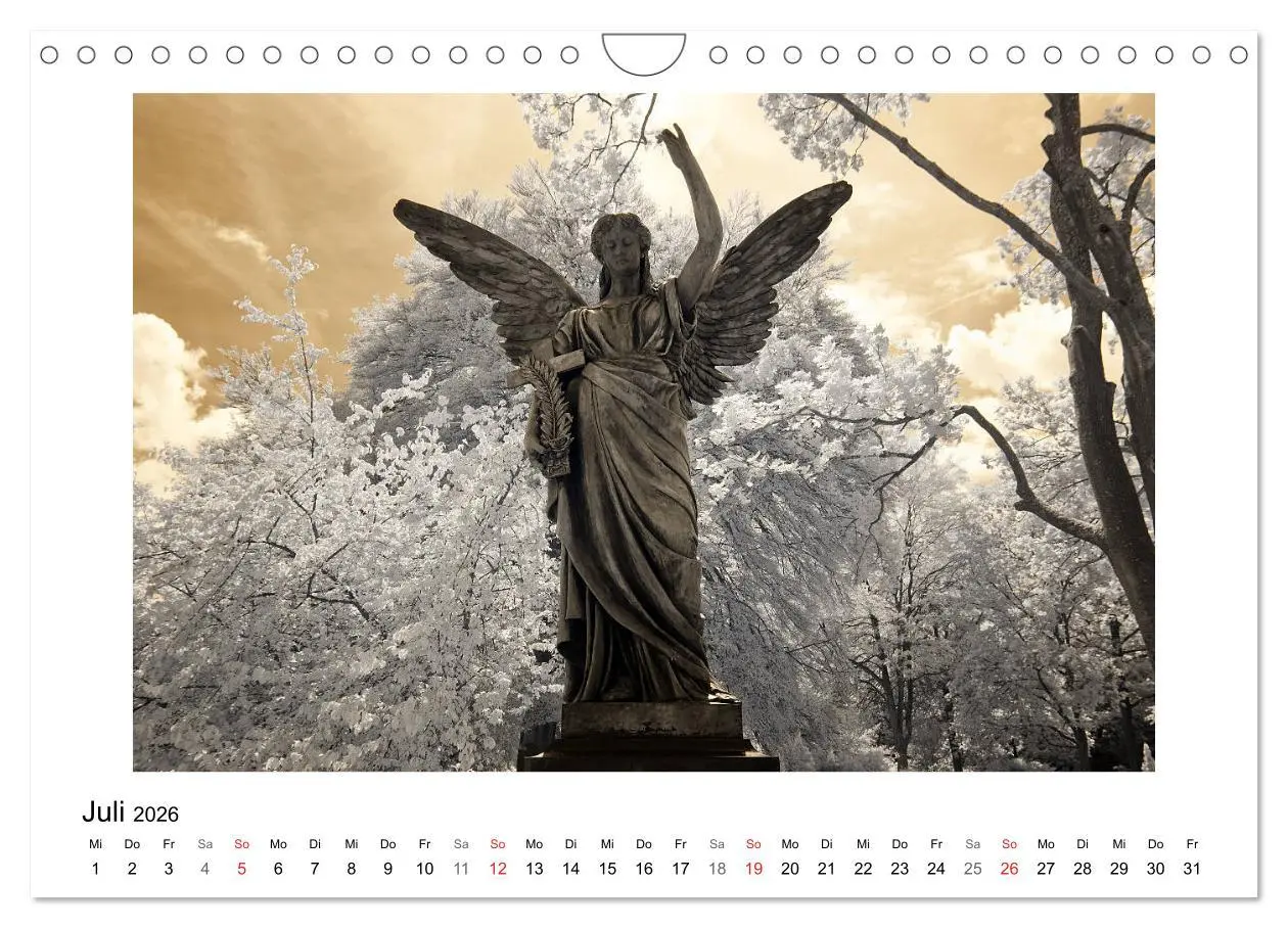 Bild: 9783457905470 | your guardian angel - Dein Schutzengel für jeden Tag (Wandkalender...