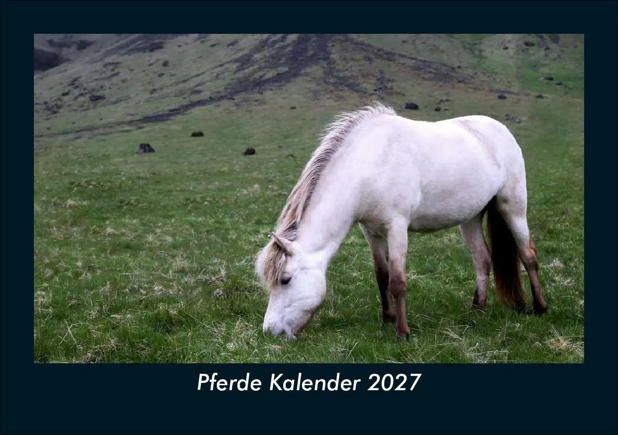 Cover: 9783695435470 | Pferde Kalender 2027 Fotokalender DIN A5 | Tobias Schmitt (u. a.)