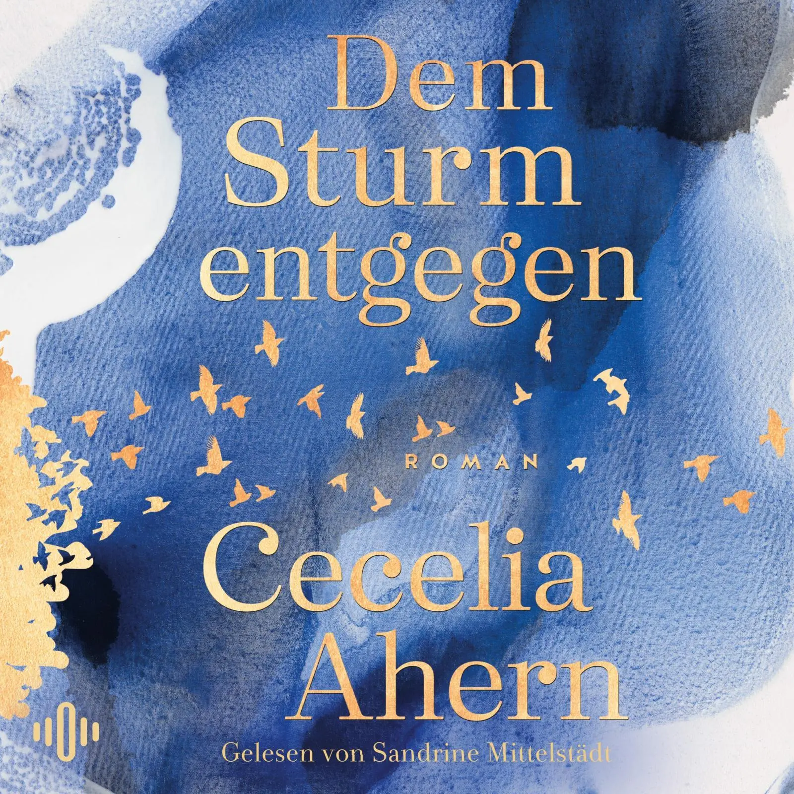 Cover: 9783869525570 | Dem Sturm entgegen | Cecelia Ahern | MP3 | Deutsch | 2024