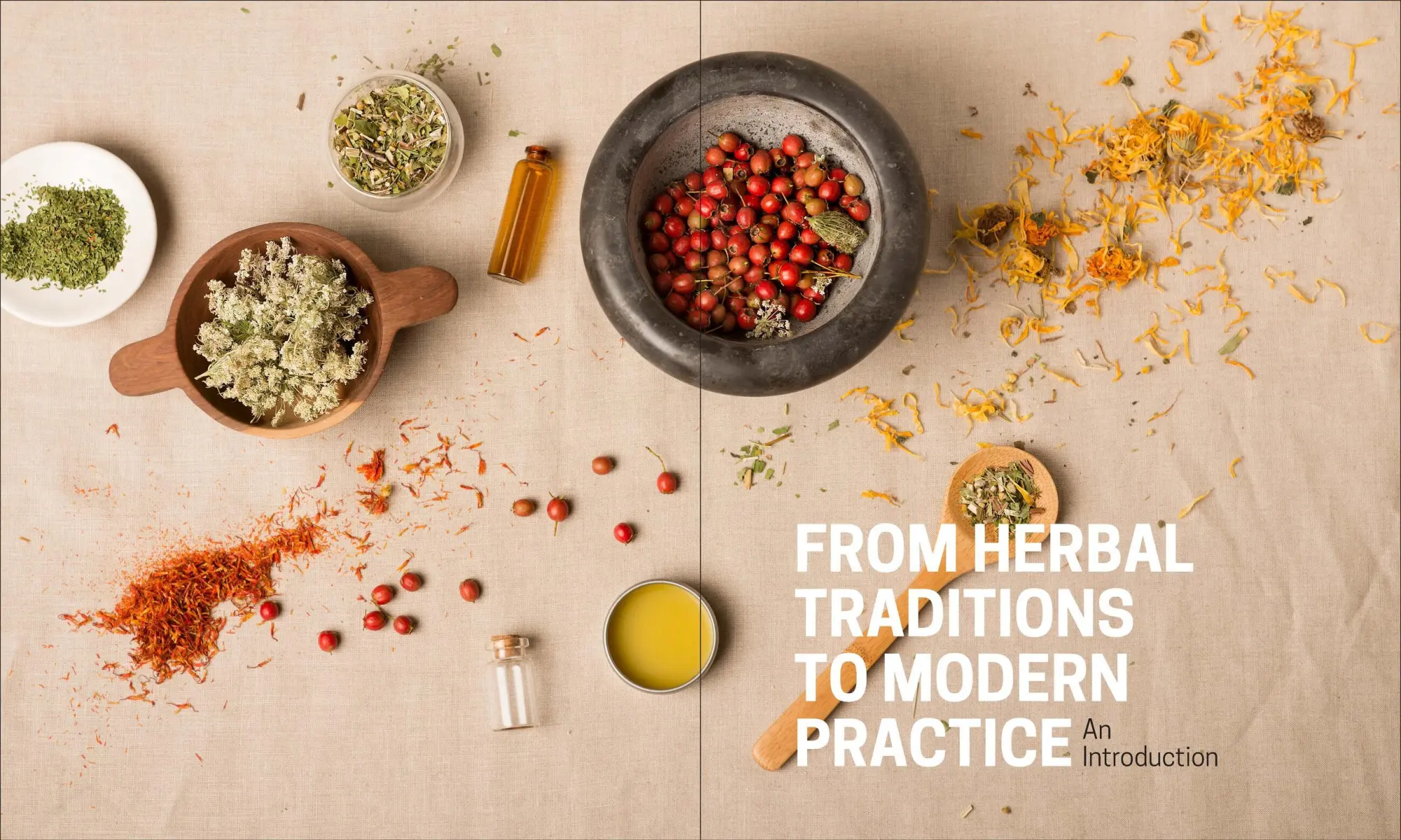 Bild: 9781604695670 | The Herbal Apothecary | 100 Medicinal Herbs and How to Use Them | Buch