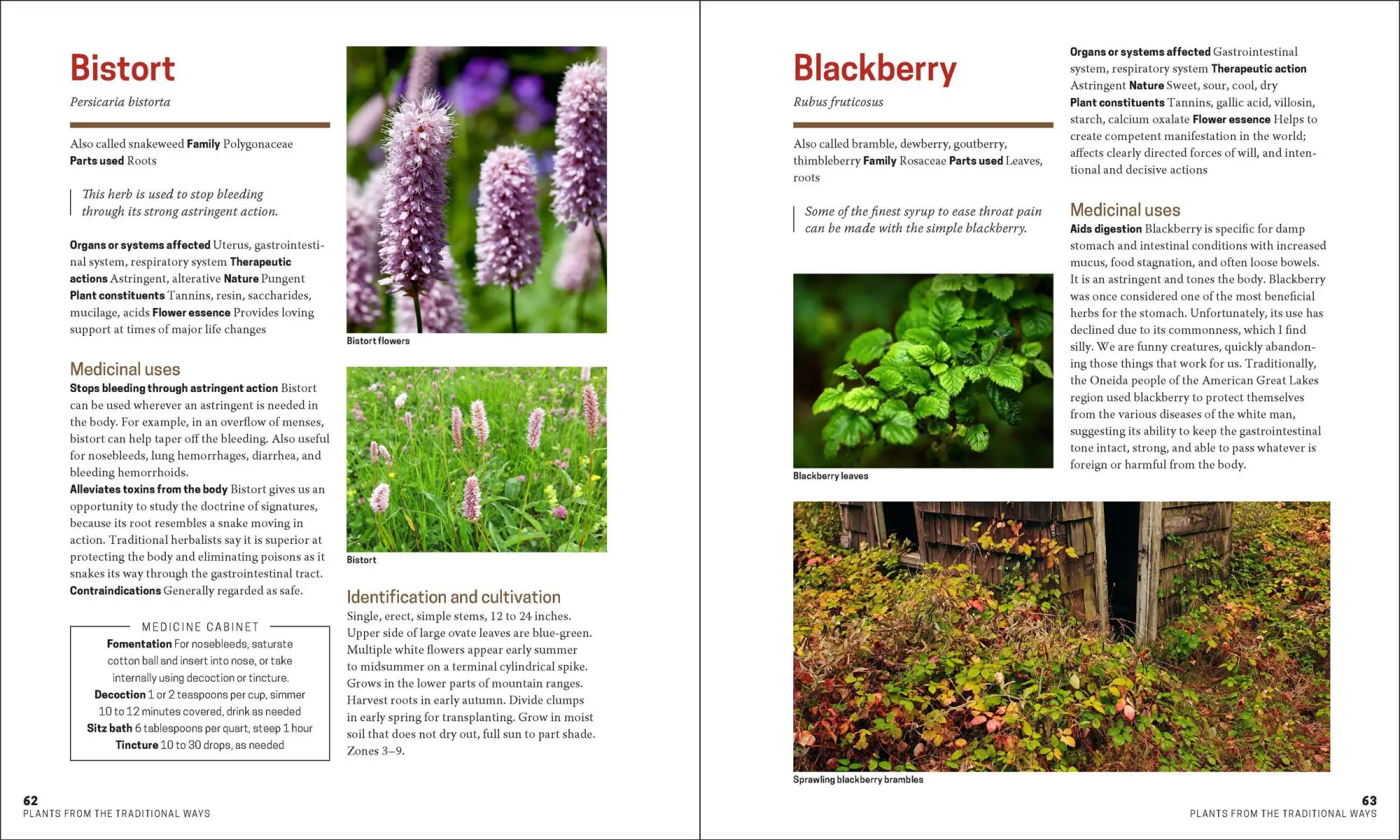 Bild: 9781604695670 | The Herbal Apothecary | 100 Medicinal Herbs and How to Use Them | Buch