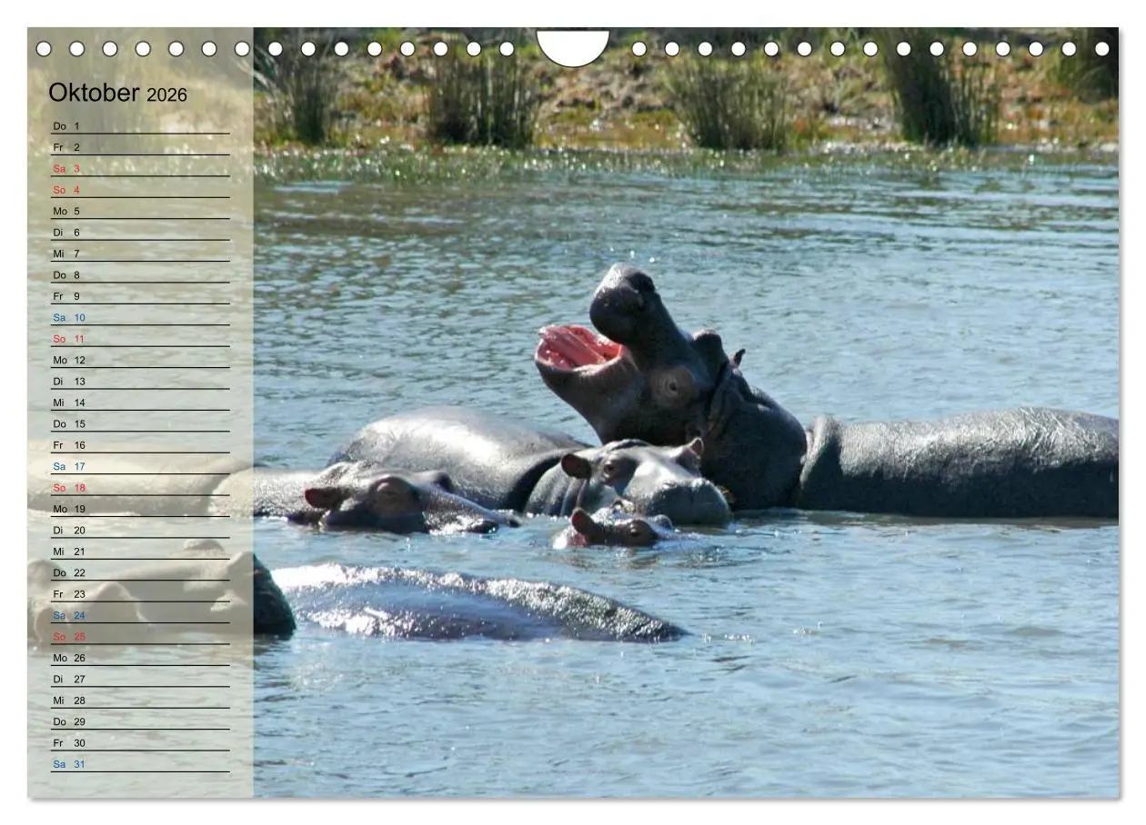 Bild: 9783457985670 | Süd Afrika - vom Krüger Nationalpark bis nach Kapstadt...