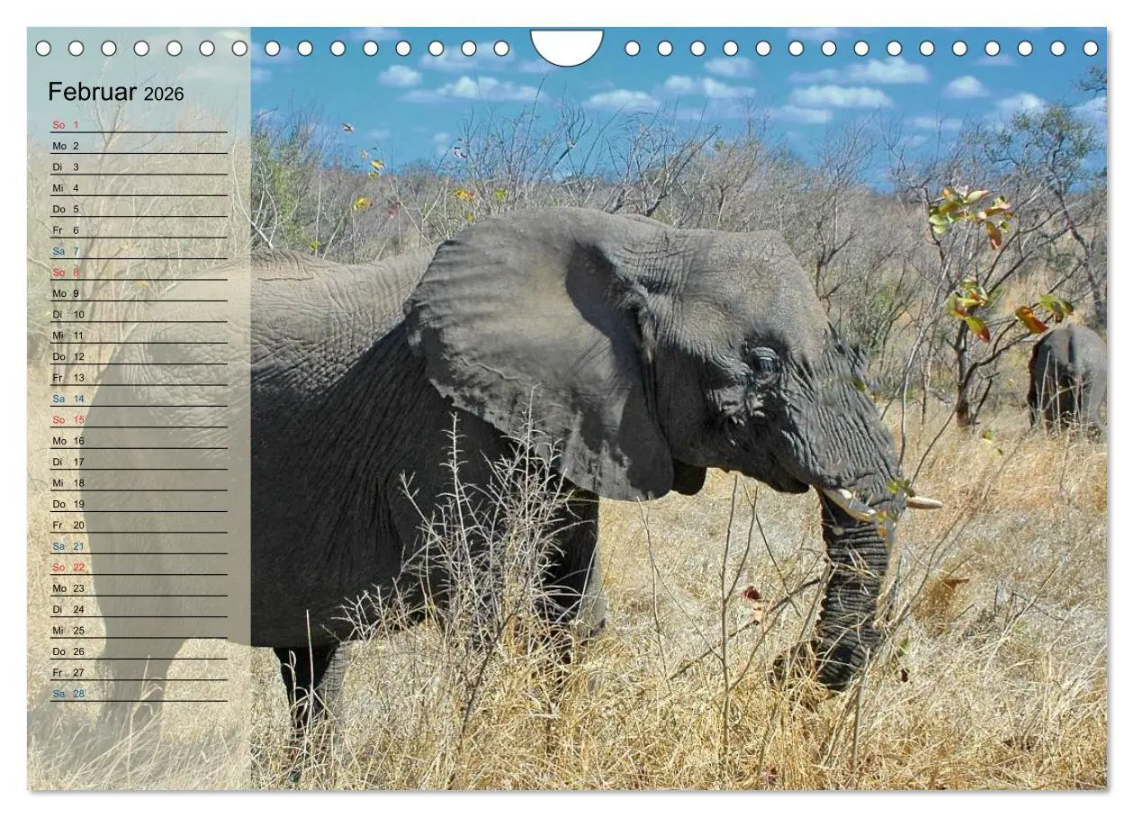 Bild: 9783457985670 | Süd Afrika - vom Krüger Nationalpark bis nach Kapstadt...