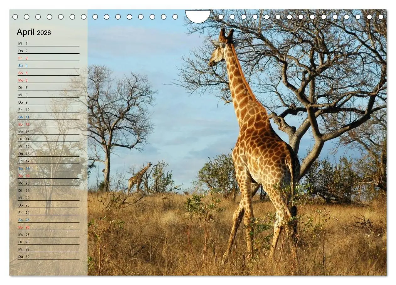 Bild: 9783457985670 | Süd Afrika - vom Krüger Nationalpark bis nach Kapstadt...