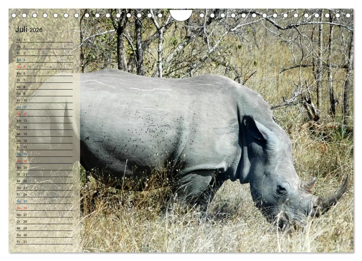 Bild: 9783457985670 | Süd Afrika - vom Krüger Nationalpark bis nach Kapstadt...