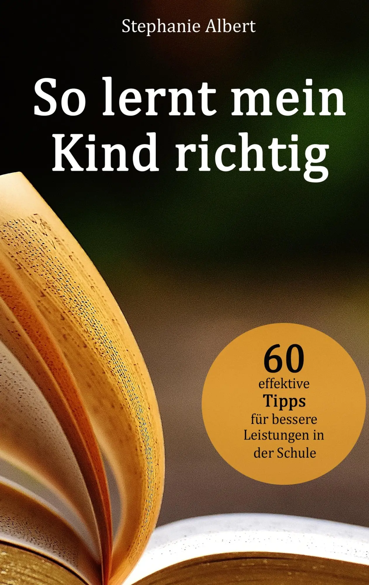 Cover: 9783743165670 | So lernt mein Kind richtig | Stephanie Albert | Taschenbuch | 60 S.