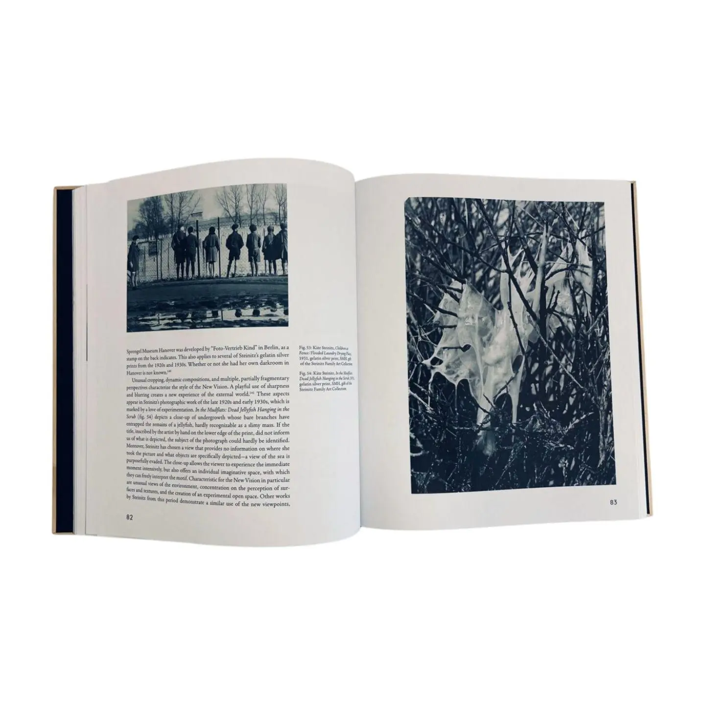 Bild: 9783777445670 | Käte Steinitz - From Hannover to Los Angeles | Behrmann (u. a.) | Buch