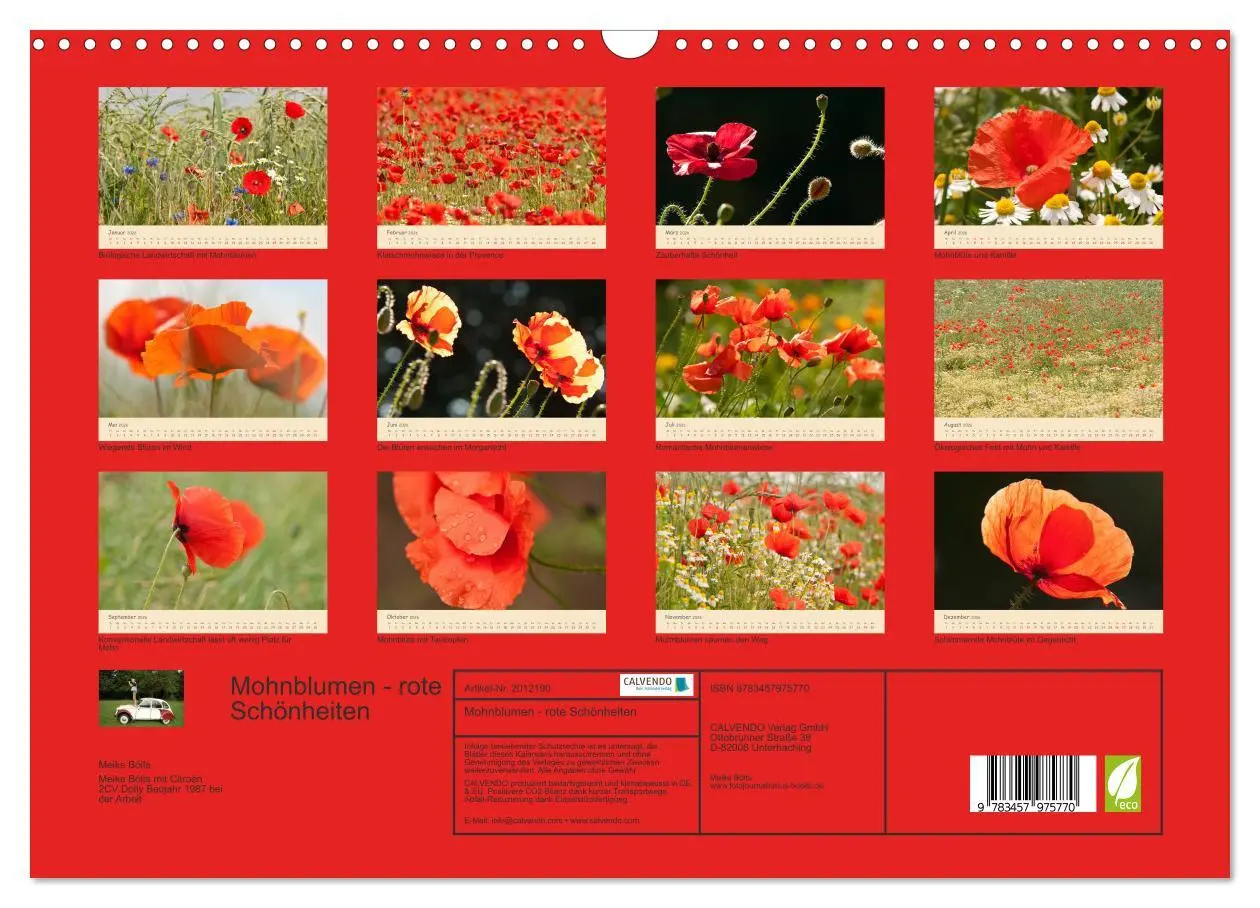 Bild: 9783457975770 | Mohnblumen - rote Schönheiten (Wandkalender 2026 DIN A3 quer),...