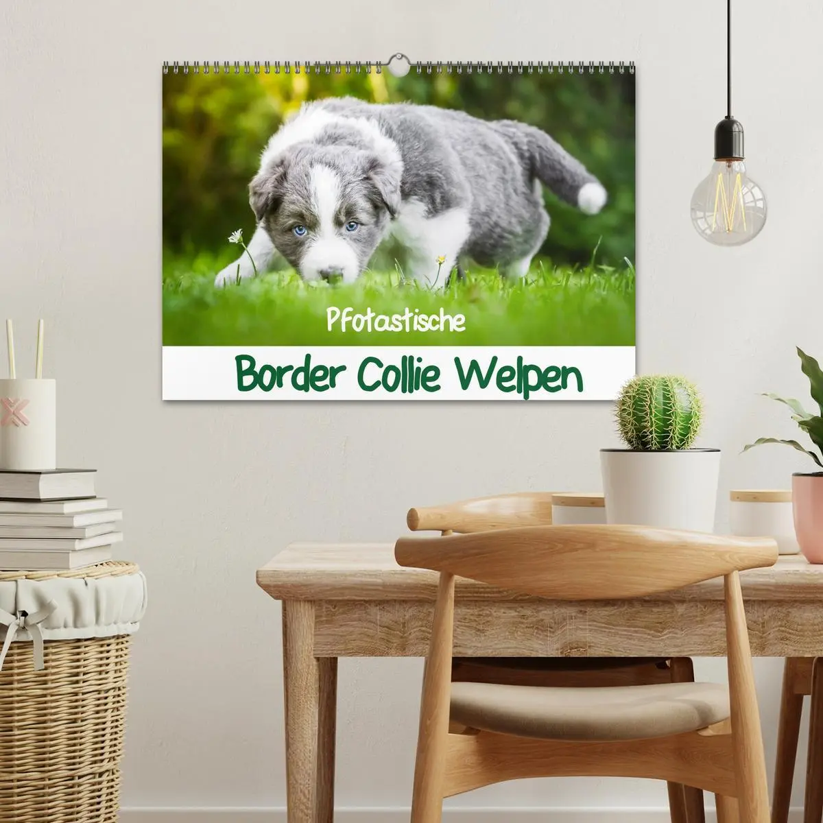 Bild: 9783516065770 | Pfotastische Border Collie Welpen (Wandkalender 2026 DIN A3 quer),...