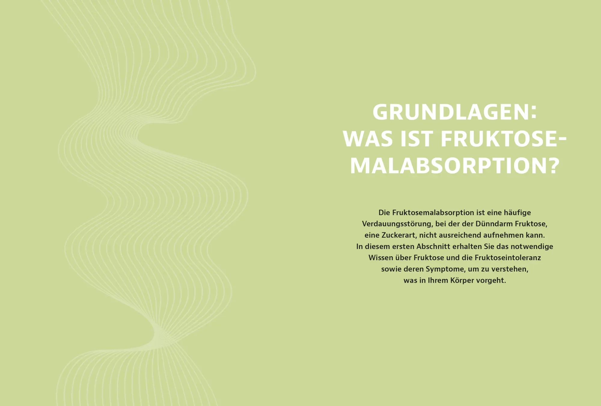 Bild: 9783965845770 | Schluss mit Fruktoseintoleranz | Michael Zechmann-Khreis | Taschenbuch