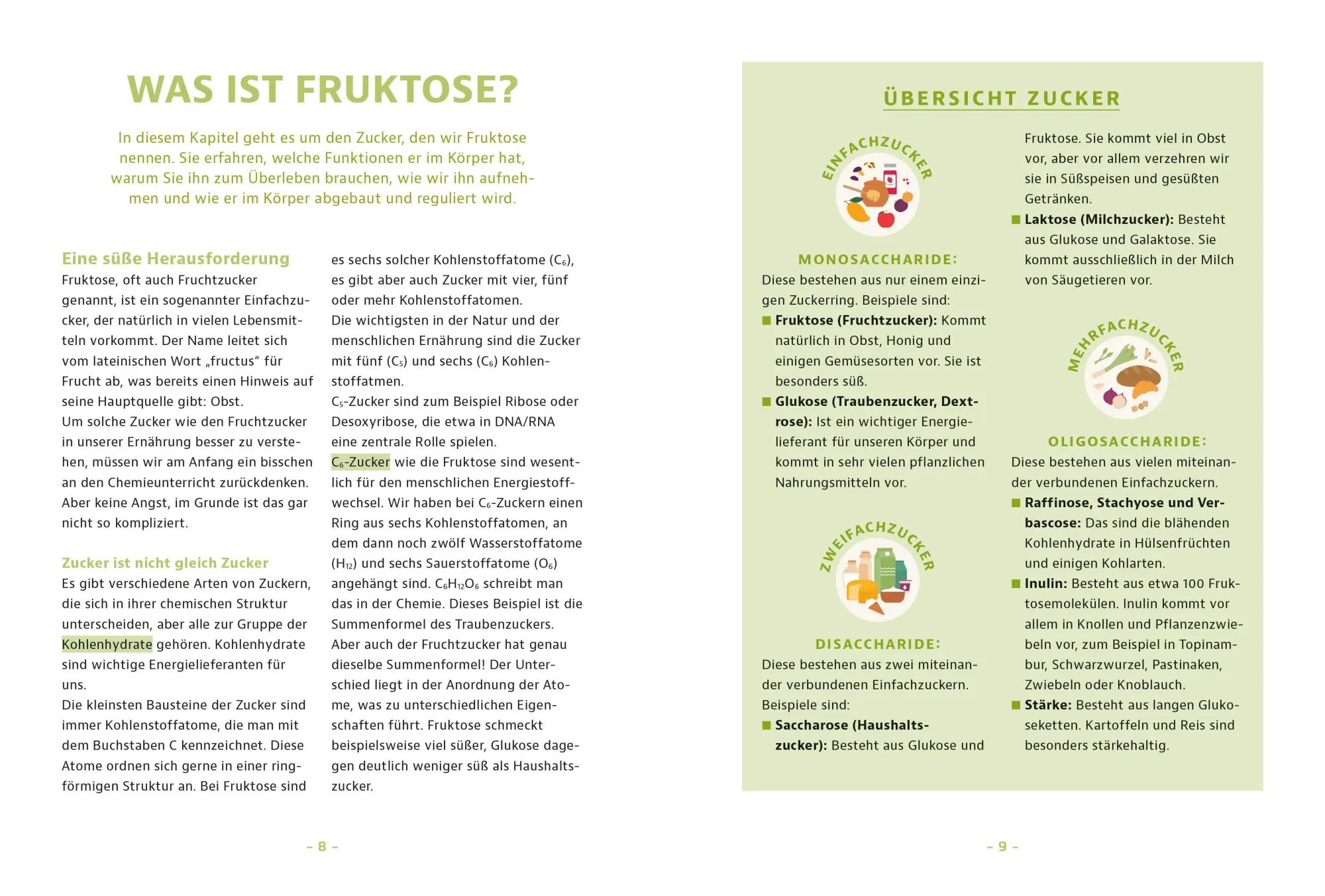 Bild: 9783965845770 | Schluss mit Fruktoseintoleranz | Michael Zechmann-Khreis | Taschenbuch