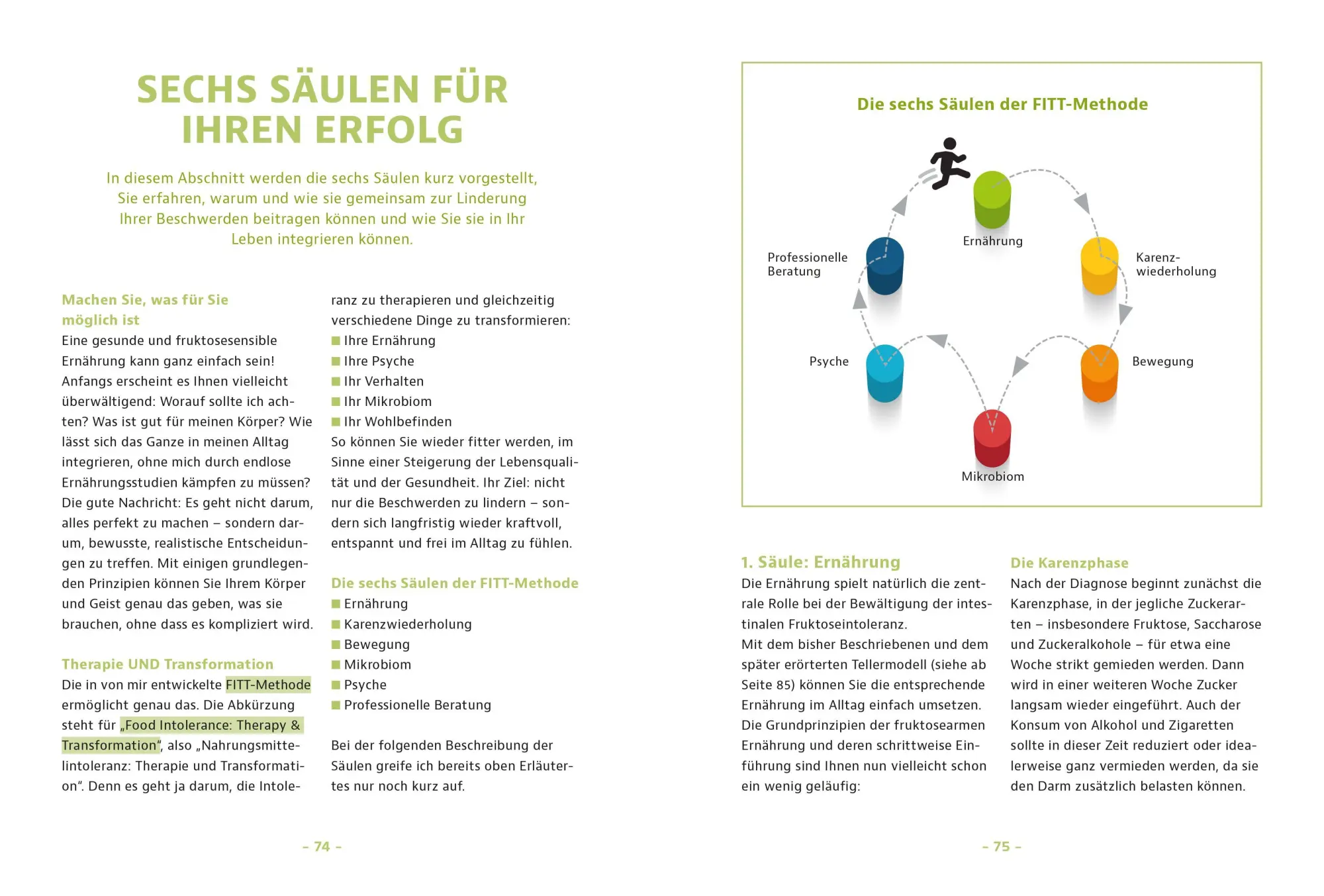 Bild: 9783965845770 | Schluss mit Fruktoseintoleranz | Michael Zechmann-Khreis | Taschenbuch