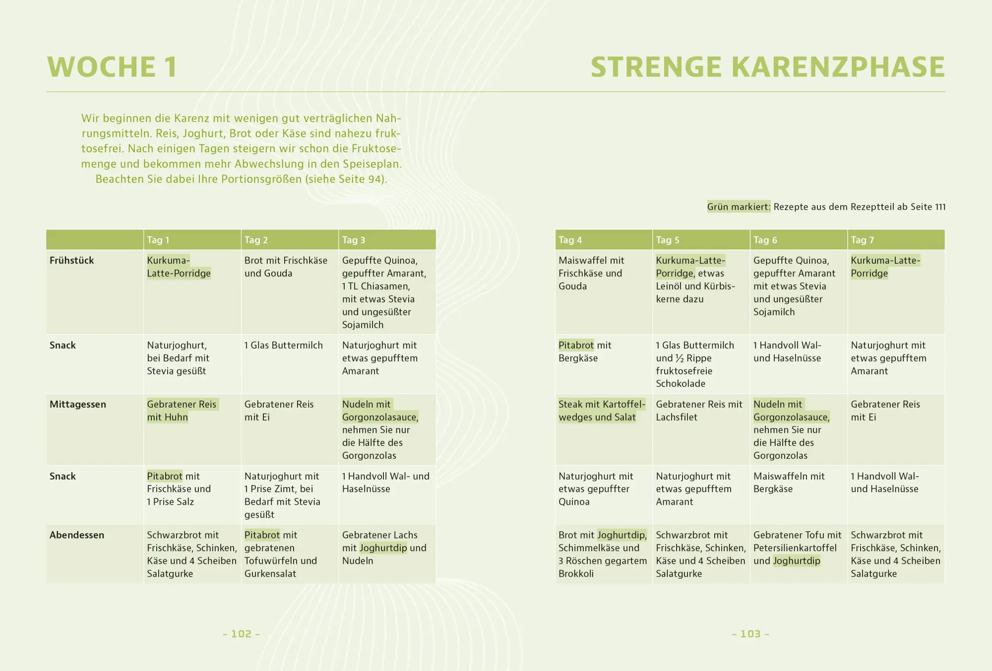 Bild: 9783965845770 | Schluss mit Fruktoseintoleranz | Michael Zechmann-Khreis | Taschenbuch