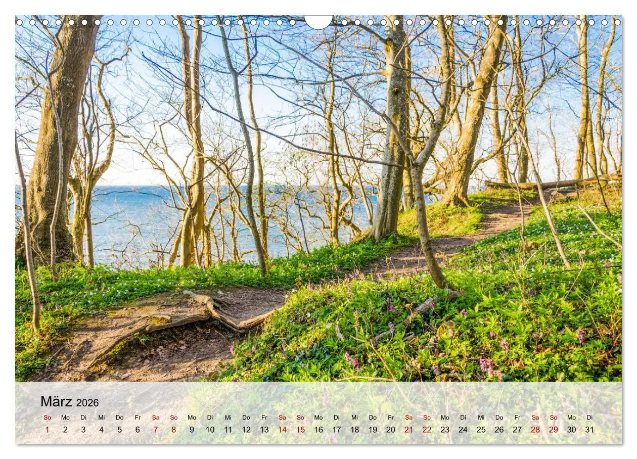 Bild: 9783457275870 | Schwedeneck Natur und Meer (Wandkalender 2026 DIN A3 quer),...