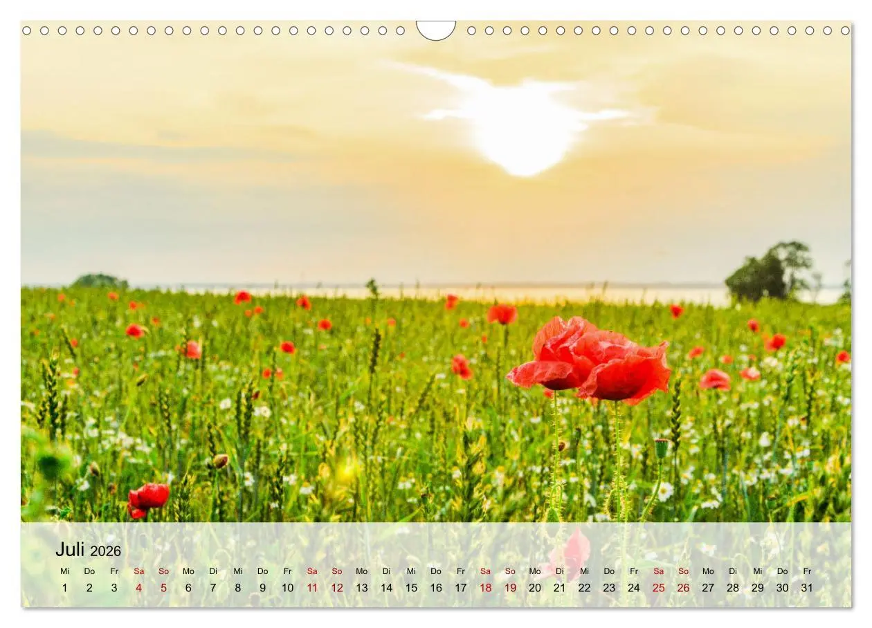 Bild: 9783457275870 | Schwedeneck Natur und Meer (Wandkalender 2026 DIN A3 quer),...