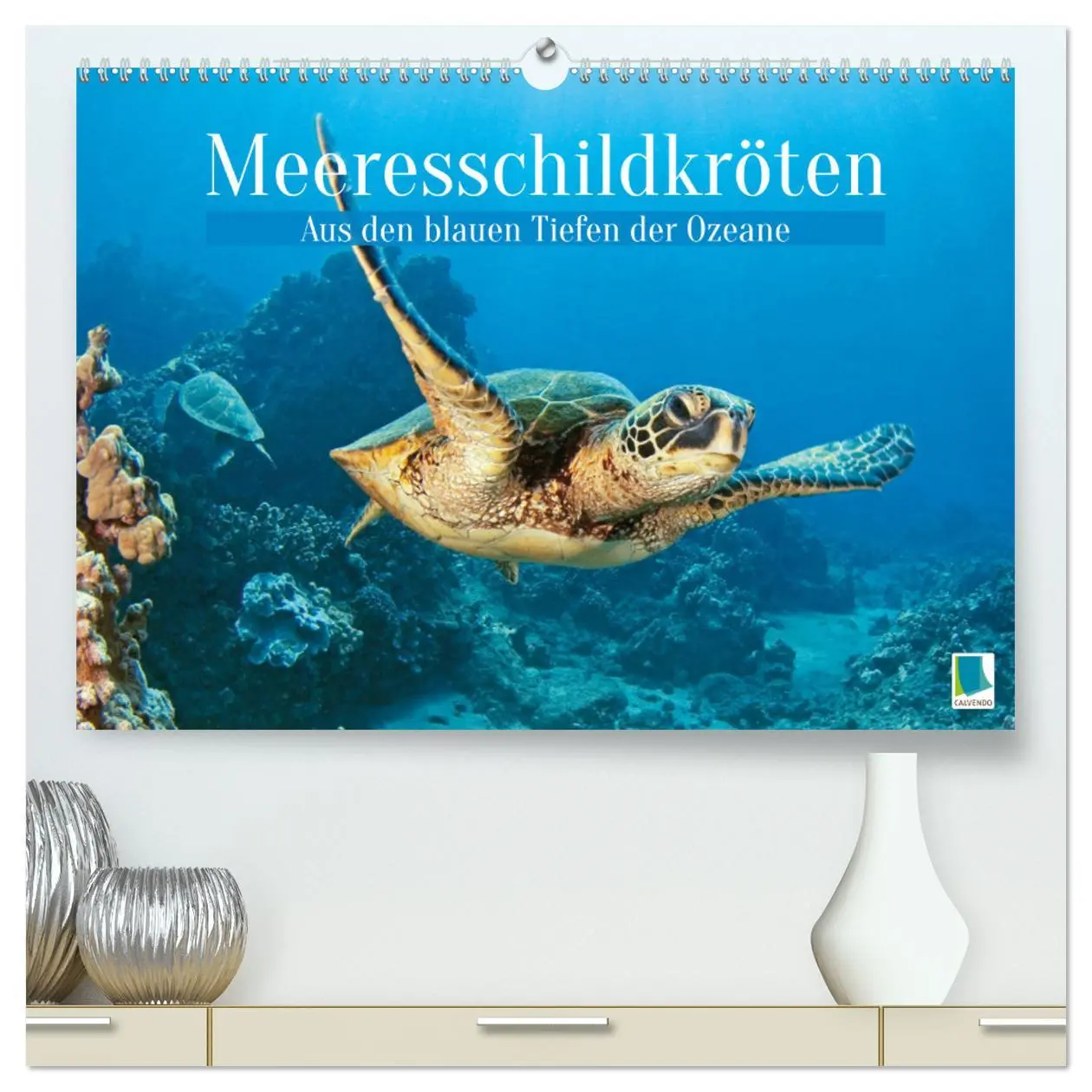 Cover: 9783457265970 | Meeresschildkröten: Aus den blauen Tiefen der Ozeane (hochwertiger...
