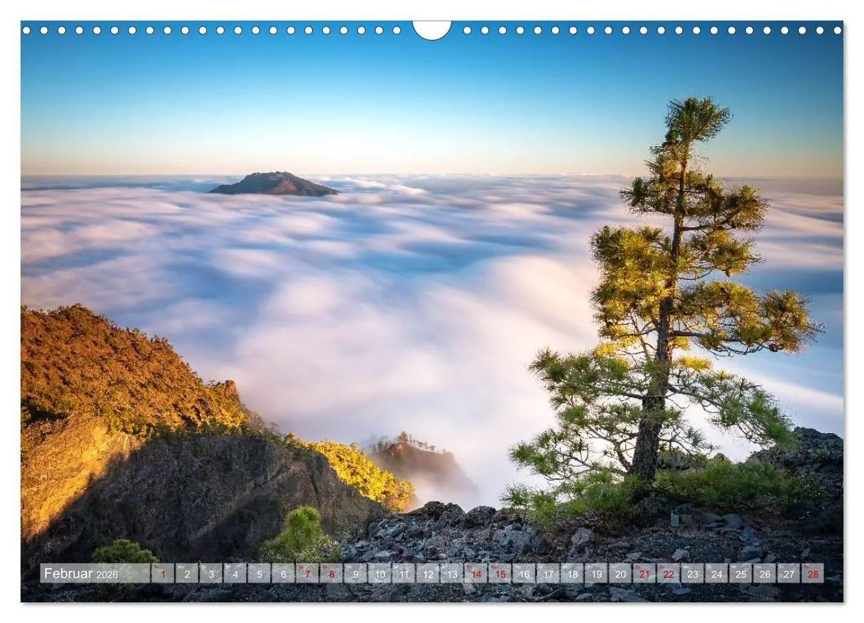 Bild: 9783516735970 | Kanarisch Wild - La Palma (Wandkalender 2026 DIN A3 quer), CALVENDO...