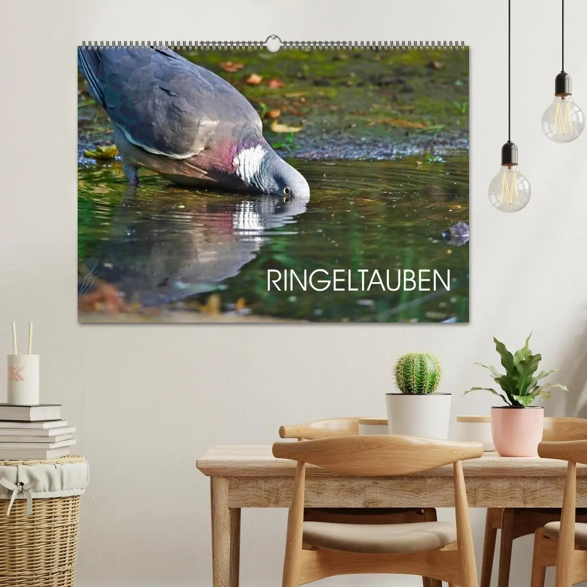 Bild: 9783569515970 | Ringeltauben (Wandkalender 2027 DIN A2 quer), CALVENDO Monatskalender