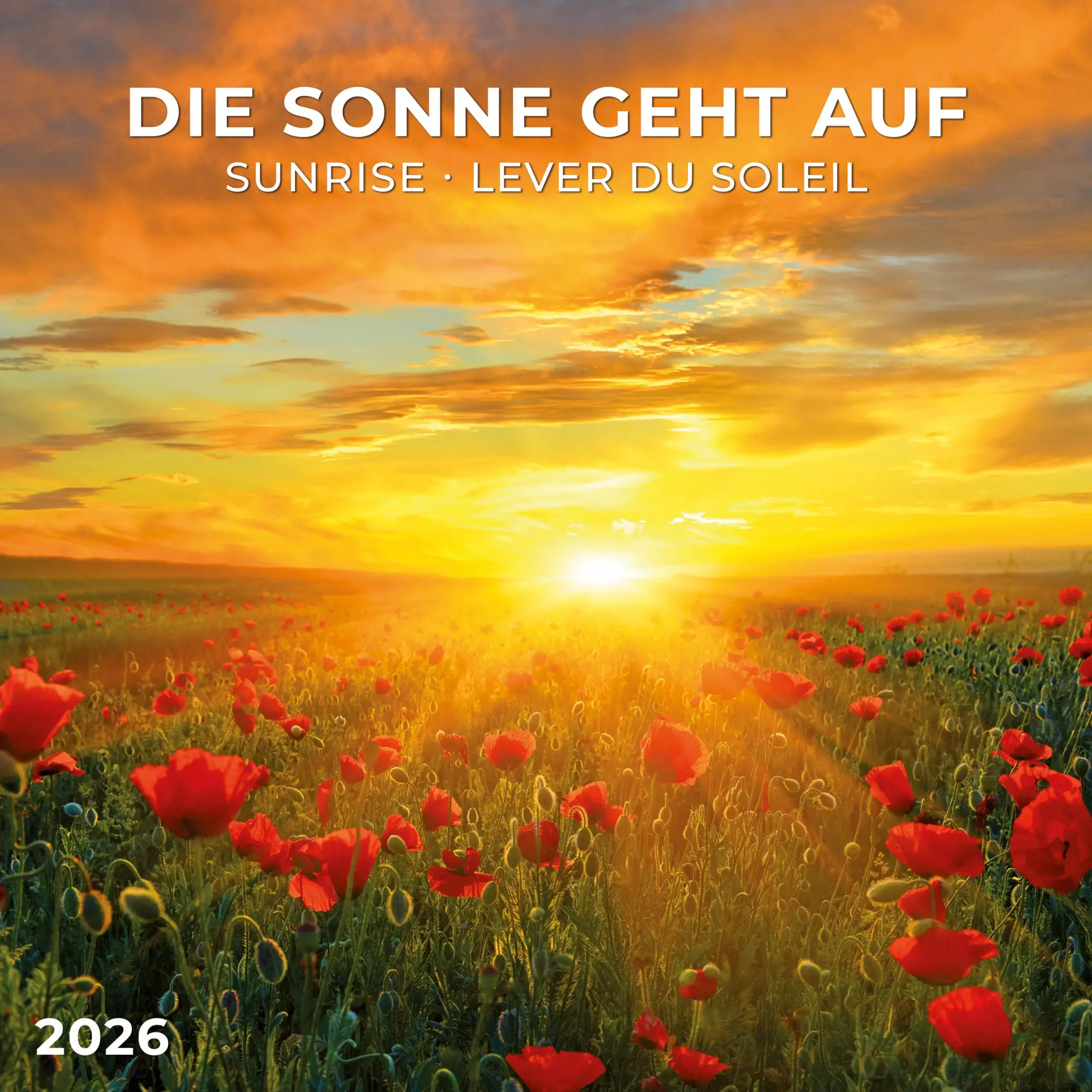 Cover: 9783959295970 | Die Sonne geht auf 2026 | Kalender 2026 | Kalender | Artwork Edition