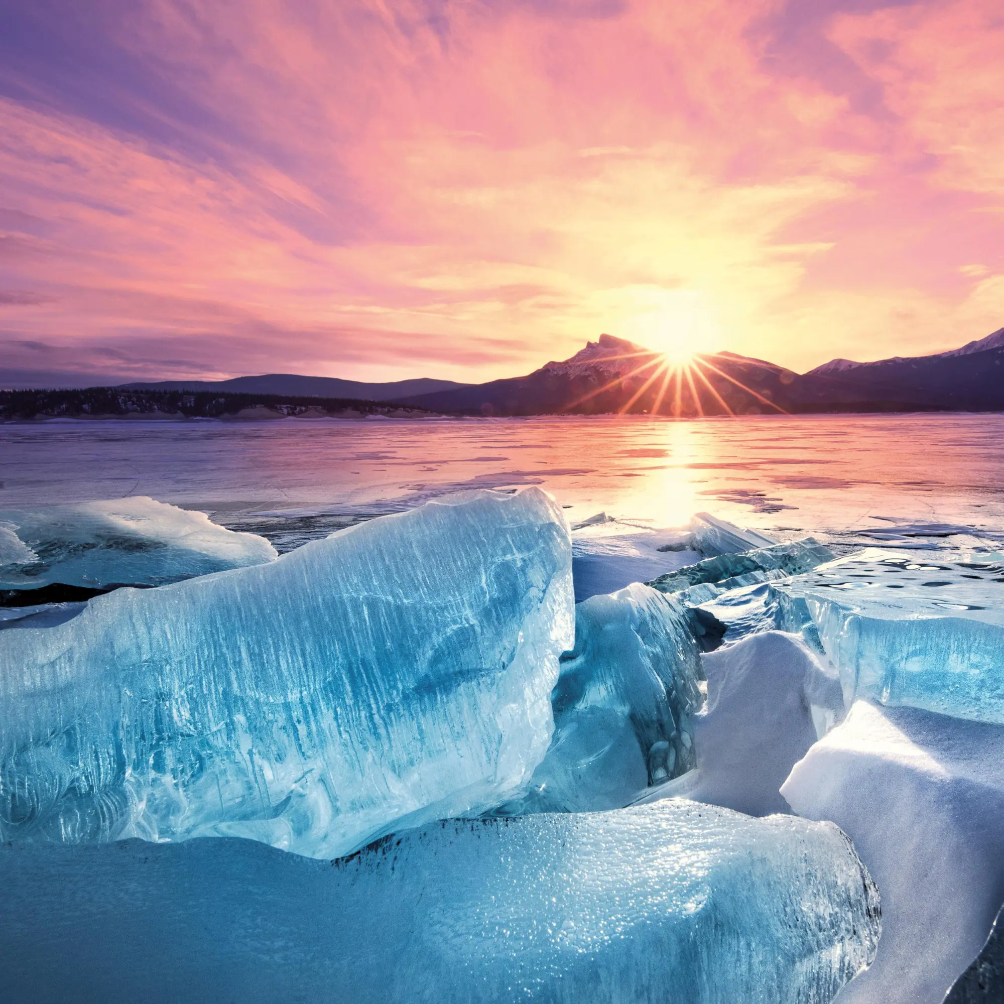 Bild: 9783959295970 | Die Sonne geht auf 2026 | Kalender 2026 | Kalender | Artwork Edition