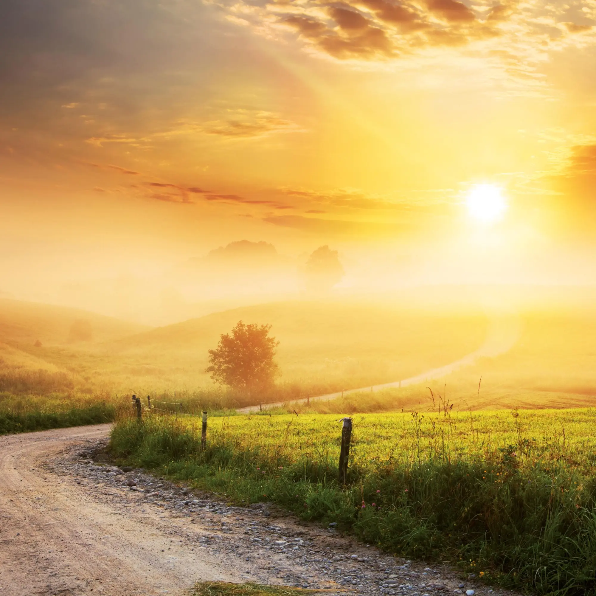 Bild: 9783959295970 | Die Sonne geht auf 2026 | Kalender 2026 | Kalender | Artwork Edition