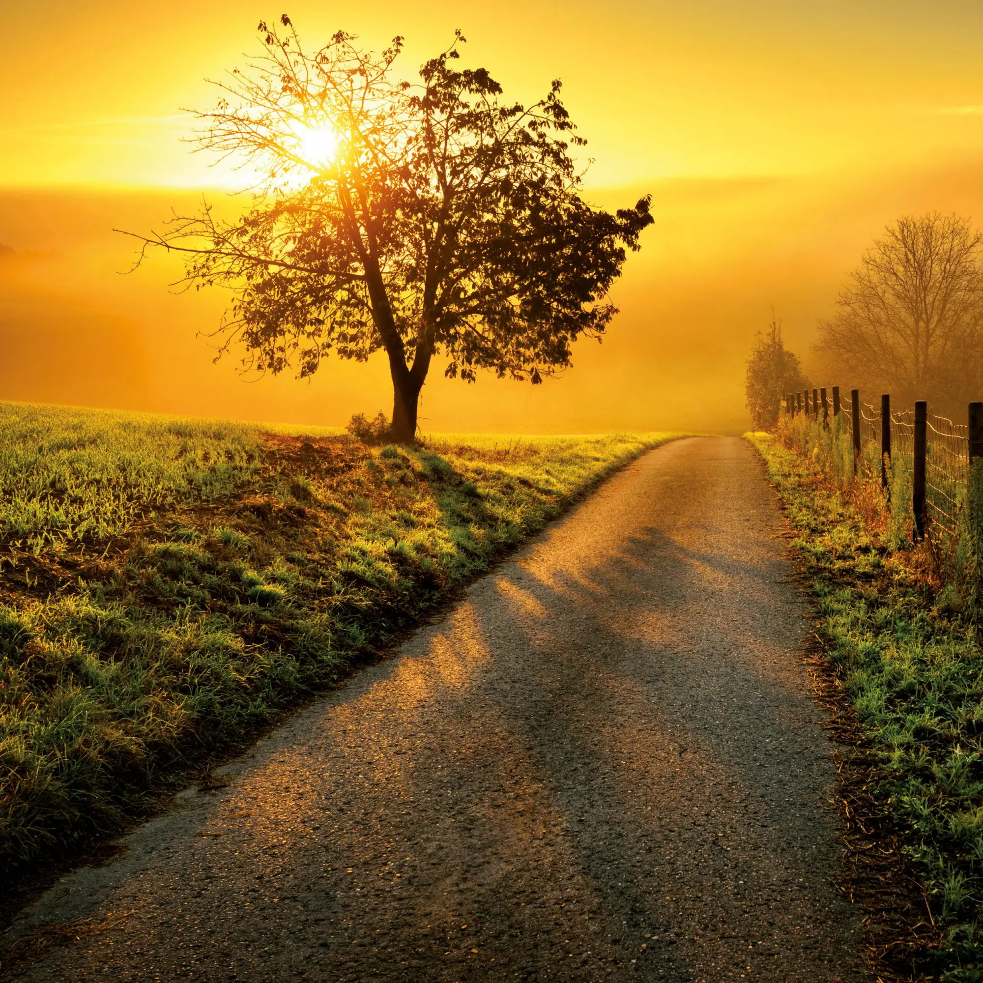 Bild: 9783959295970 | Die Sonne geht auf 2026 | Kalender 2026 | Kalender | Artwork Edition